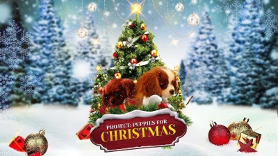 Quà Giáng Sinh Bất Ngờ - Project: Puppies for Christmas