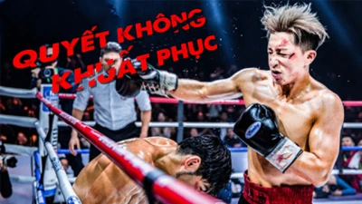 Quyết Không Khuất Phục -  Knockout