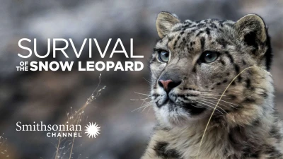 Survival Of The Snow Leopard - Survival Of The Snow Leopard